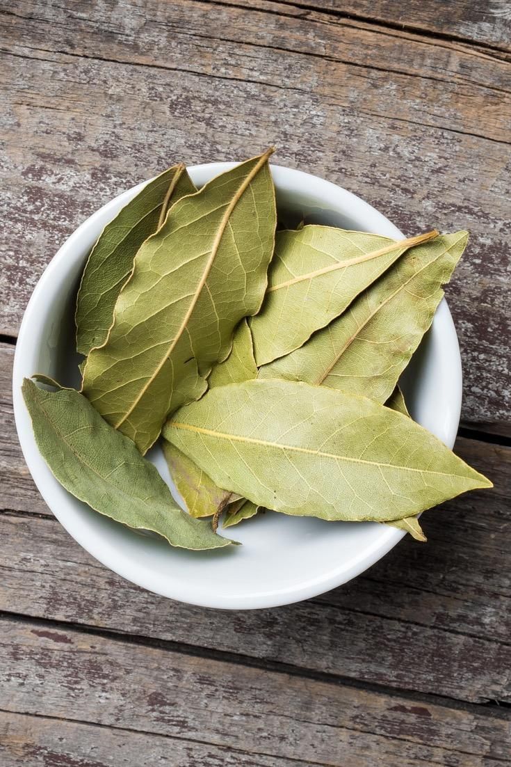 Bay leaves wholesale