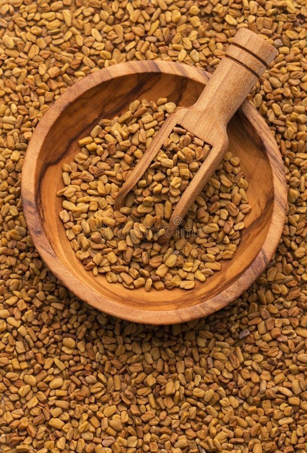 Fenugreek seeds wholesale