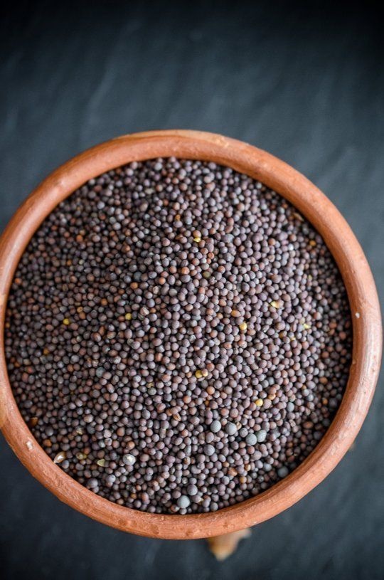 Mustard seeds wholesale