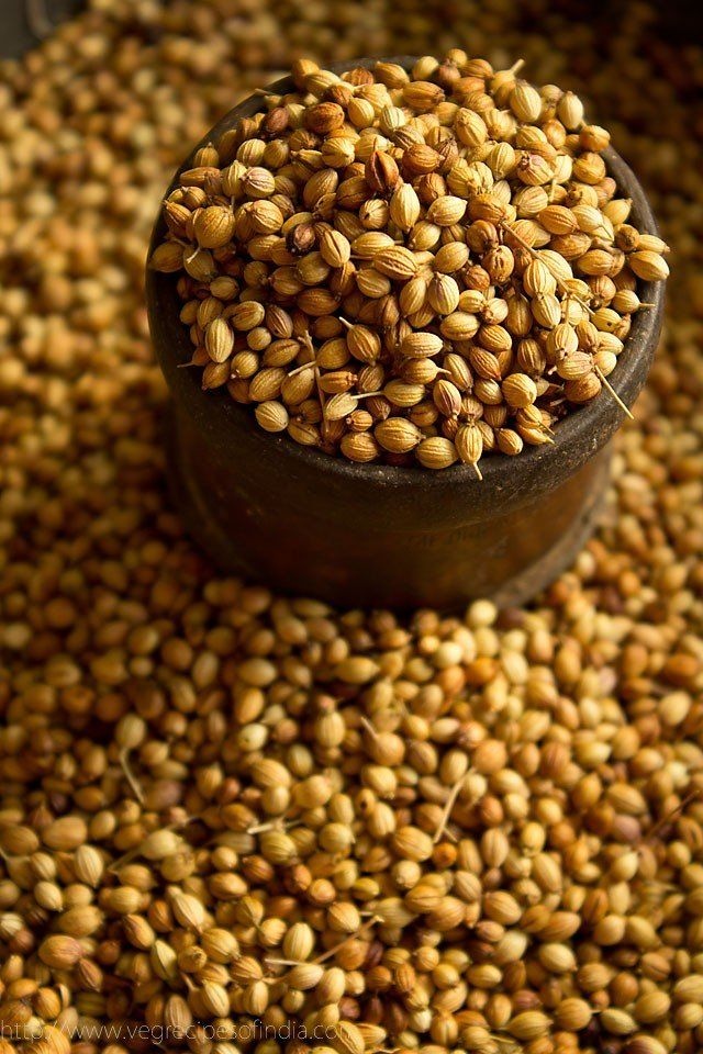 Coriander seeds wholesale